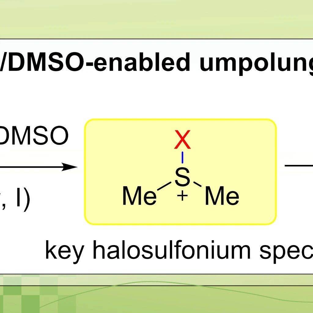 【J. Org. Chem.】江南大学张松林课题组：二氟卡宾协同DMSO实现卤负离子的极性反转和对芳烃的亲电卤代反应