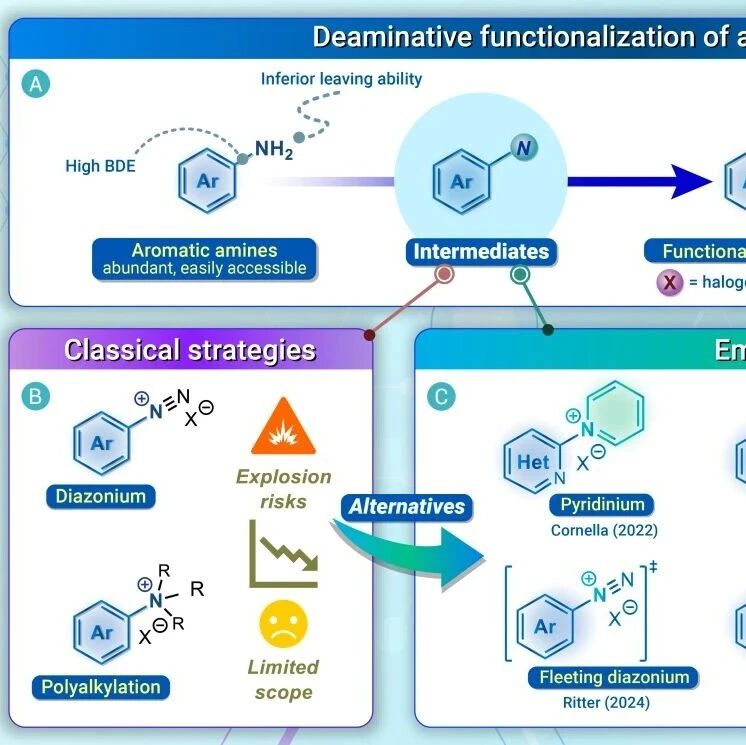 The Innovation | 芳香胺直接脱氨：革新性官能团转化技术