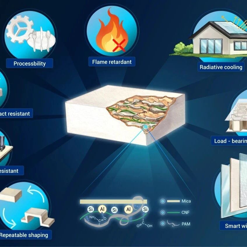 The Innovation | 像塑料一样可塑，像矿物一样坚硬：一种新型“矿物水塑料”