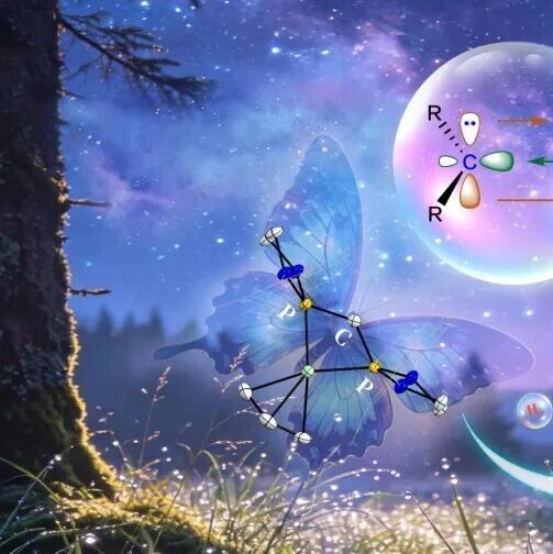 南方科技大学刘柳团队：如何撬动氢气分子？卡宾活化小分子 | Nature Chemistry