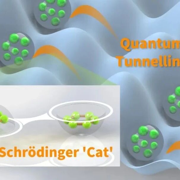 南方科技大学杨兵课题组：量子隧穿 | Nature Physics