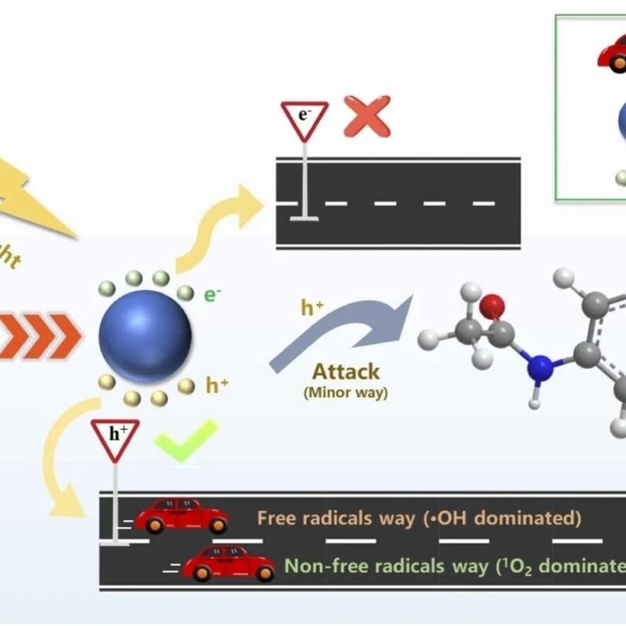 文献速递|湖南大学ACB：可见光促进PMS活化降解ACE：被忽视的光生孔作用