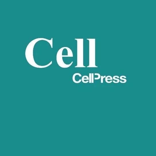 雷晓光团队与合作者，Cell!