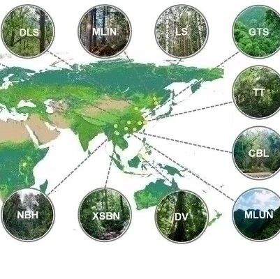 New Phytologist  | 植物所马克平院士、刘晓娟研究团队在全球尺度揭示植物多样性与土壤有机碳关系对气候的响应机制