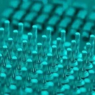 Adv Sci | 清华大学张莹、尹航：NPM1通过RNA基序识别与相分离调控mRNA向细胞外囊泡的分选
