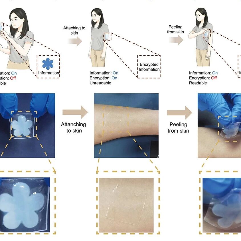 兰州大学吕少瑜 Angew：水驱动相变水凝胶