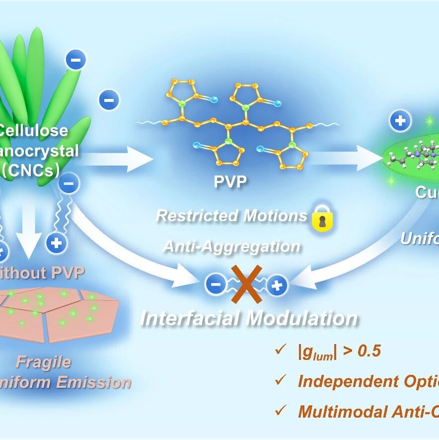广西大学赵辉课题组 AFM：Cu(Ⅰ)簇-CNC光子薄膜的界面调控用于高效圆偏振发光与多级防伪