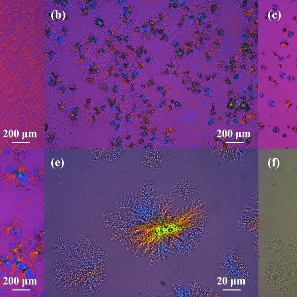 天津大学汪怀远团队 Macromolecules：发现诱导-共生晶体结构赋予复合薄膜优异氧气阻隔性能