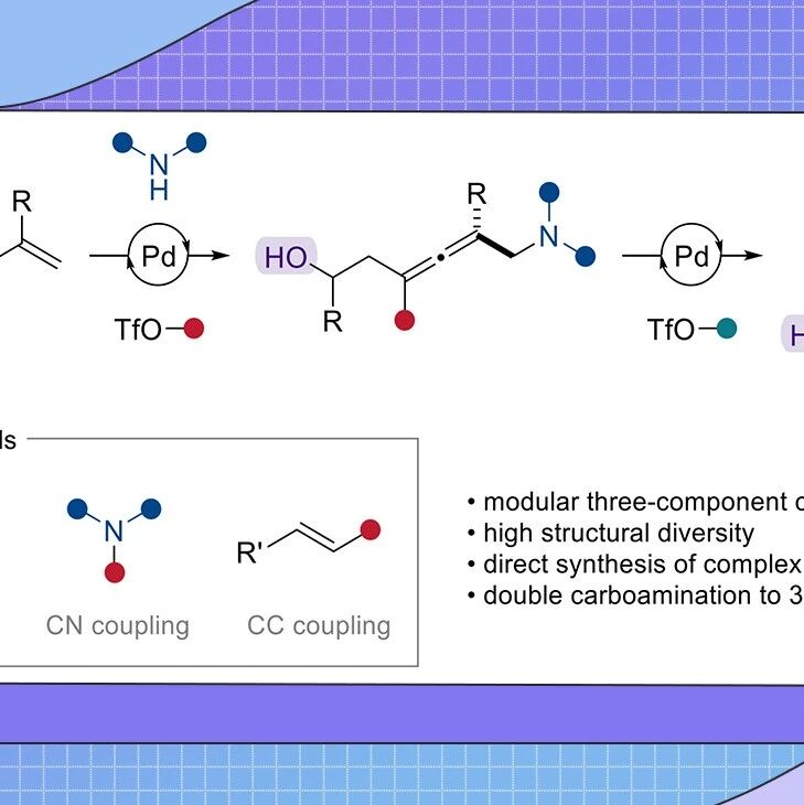 【Angew. Chem.】瑞士洛桑联邦理工学院Jerome Waser课题组：醇导向实现共轭烯炔的碳胺化反应