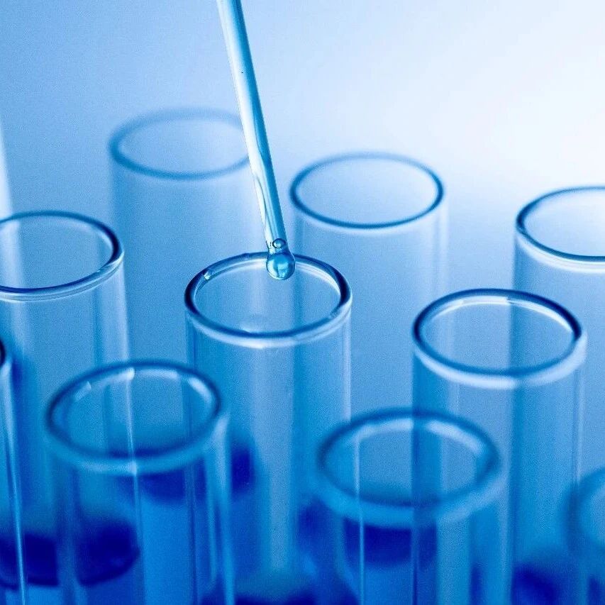 《食品科学》：广西科技大学黄永春教授、唐湘毅副教授等：壳聚糖添加量对壳聚糖-籼米淀粉二元基壬酸复合物的影响