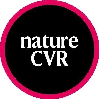Nat Cardiovasc Res | 畅君雷团队发现中枢血管的区域特异性调控新机制