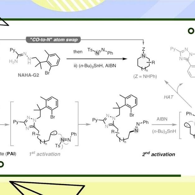 芝加哥大学董广彬组Science：环酮至饱和氮杂环的CO/N替换骨架编辑
