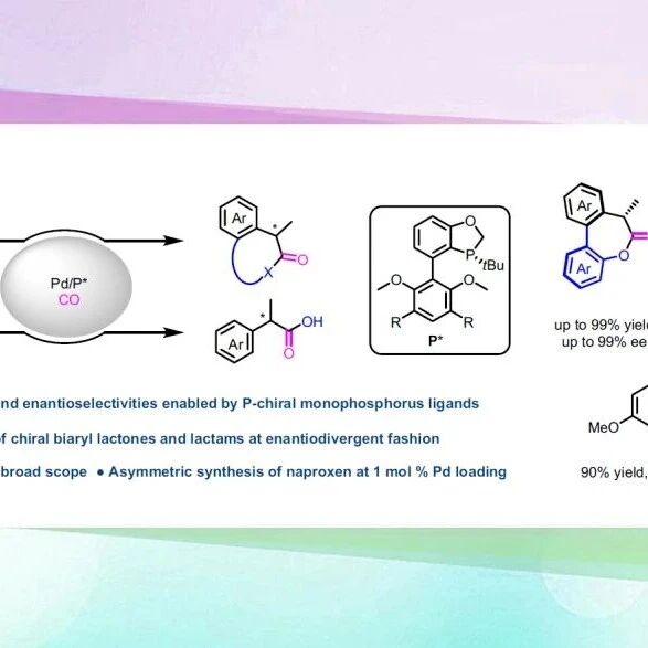 【CCS Chem.】上海有机所/杭州高等研究院汤文军/杨贺团队：P-手性单膦配体促进的钯催化芳基烯烃的不对称氢羰基化反