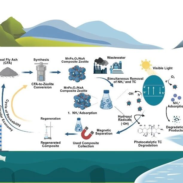 The Innovation Energy | 粉煤灰变废为宝！新型复合材料同步去除氨氮与四环素