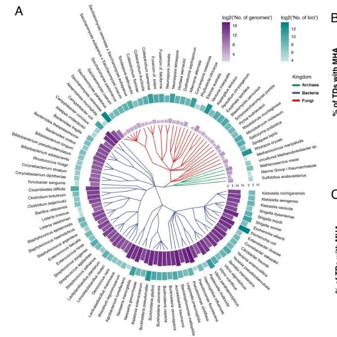 PNAS | 破解基因组“暗物质”起源：浙江大学蒋超/何向伟发现生命共享一种“通用笔误”机制，造就变异并关联疾病