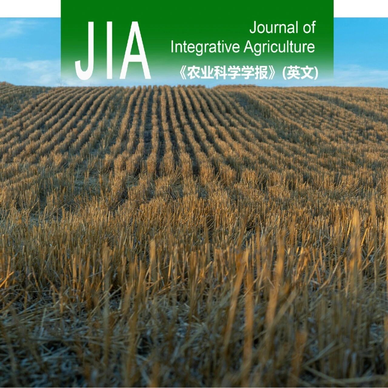 JIA优先上线 | 西北农林科技大学冯永忠教授团队：长期秸秆覆盖配施化肥对土壤微生物残体碳及有机碳固存的深度依赖性调控
