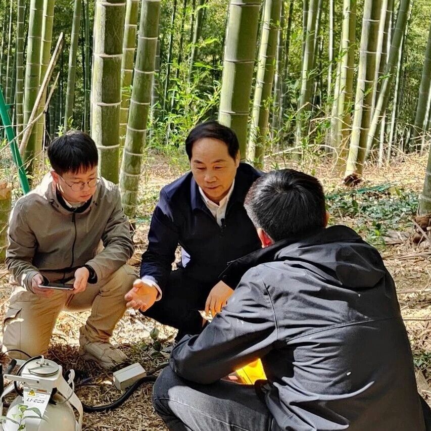 浙江农林大学教授团队在顶刊（IF=22.2）发表重磅文章