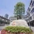 上海交大王宏林/陈蕊团队Nature Communications：神经支配驱动瘢痕疙瘩“骨化”，心血管病老药或破解复发难题
