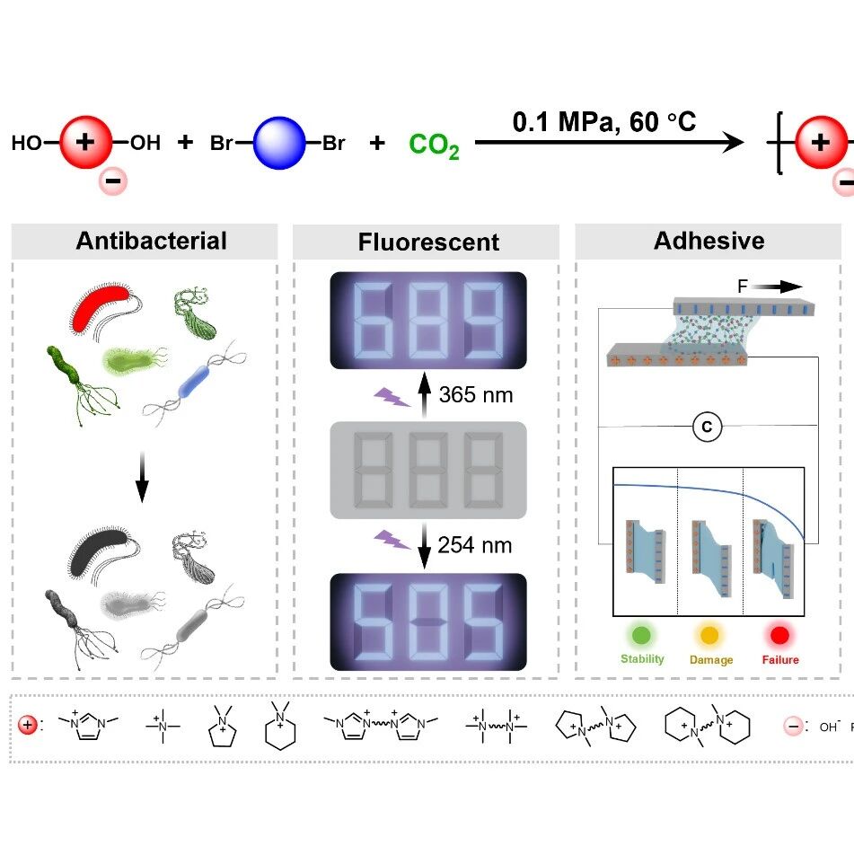 东华大学/苏州大学严锋教授团队 Angew：离子液体与CO₂自聚合成聚碳酸酯
