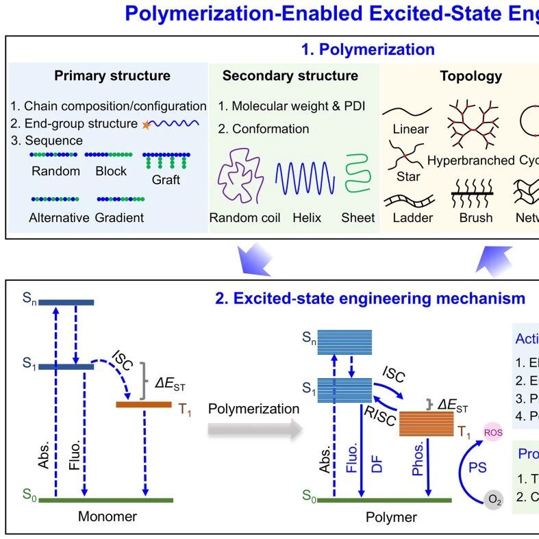 新加坡国立大学刘斌团队《Prog. Polym. Sci.》：提出“聚合驱动激发态工程（PEESE）”框架 - 激发态科学正在迈向聚合物凝聚态范式