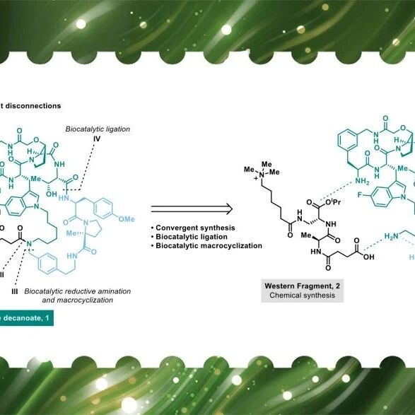 默克公司Science：口服降脂药Enlicitide高效商业化合成