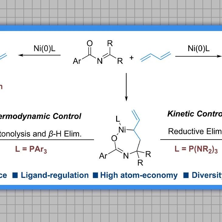 【ACS Catal.】大连化学物理研究所陈庆安课题组：镍催化酰基二苯基亚胺与丁二烯的化学发散性偶联