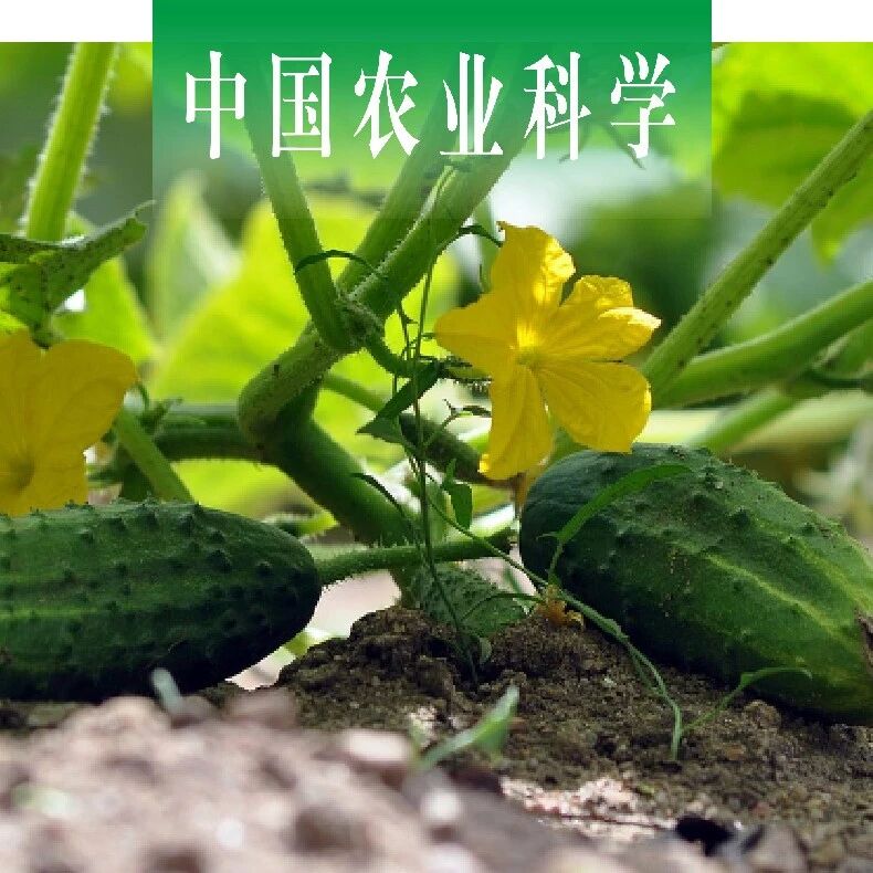 中国农业科学｜广东农科院设施农业所联合华南农大学：弱光胁迫短下胚轴黄瓜种质鉴定及其遗传位点挖掘