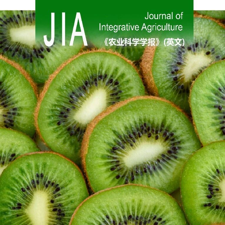 JIA | 西北农林科技大学黄丽丽教授团队联合发现双组分系统RegAB直接结合hrpR/S启动子抑制丁香假单胞菌猕猴桃致病变种的T3SS表达