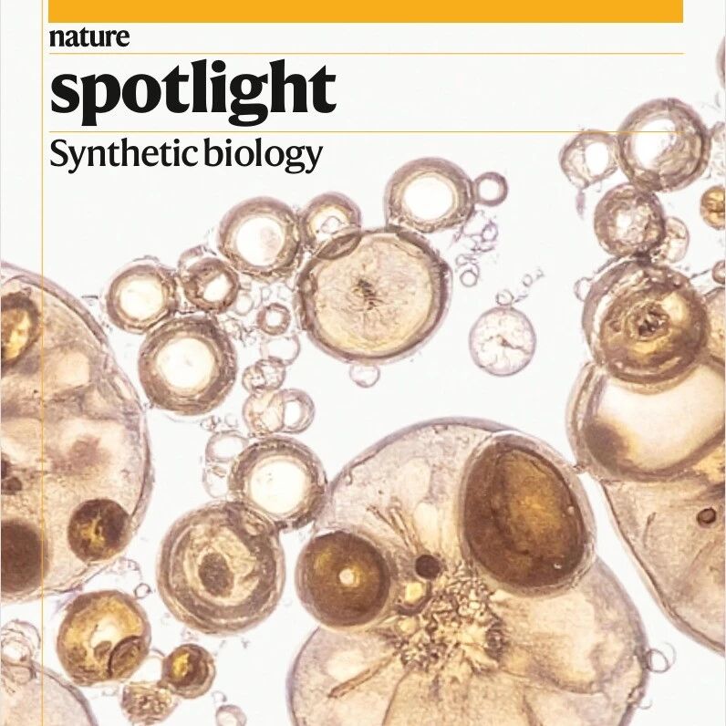 微生物是未来治理污染的希望吗？| “自然聚焦-合成生物学”增刊