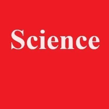 《Science》+1！上海交大团队取得重要突破！