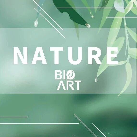Nature︱线粒体移植新策略：MitoCatch精准递送拯救退变细胞
