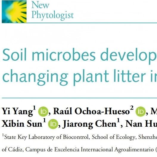 New Phytologist | 中山大学陈浩教授团队揭示微生物展现弹性策略以应对资源的变化