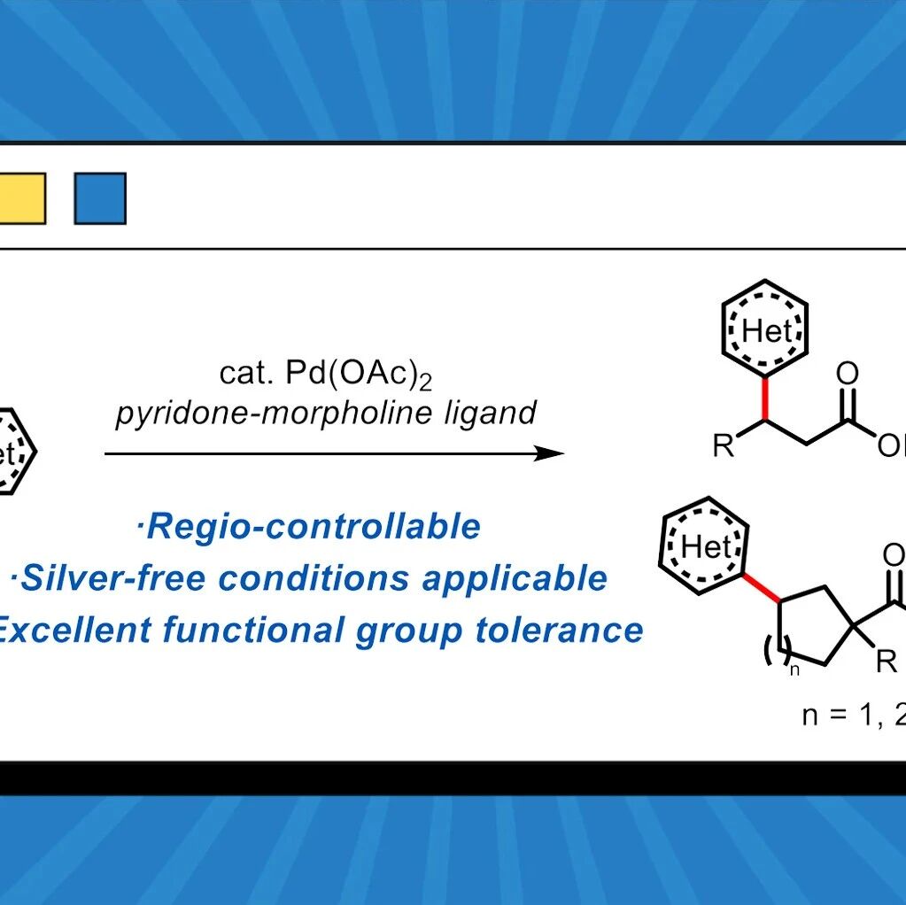 【JACS】余金权团队最新研究成果：配体促进钯催化C(sp³)−H/C(sp²)−H偶联反应