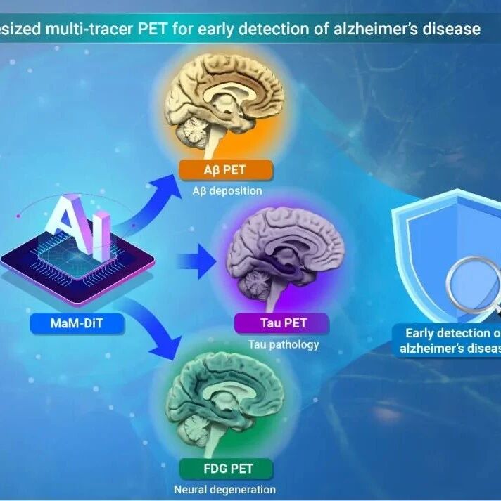 The Innovation Informatics | AI给大脑拍“分子照片”：让磁共振也能看见阿尔茨海默病多维早期病理