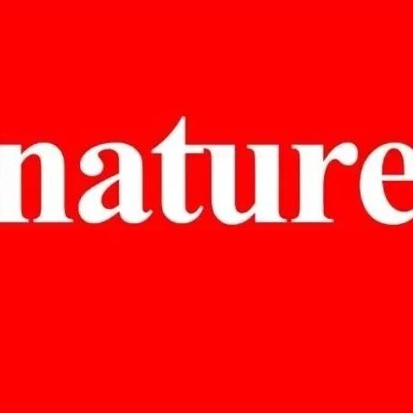 脑梗恢复的“黄金期”能打破？《Nature》发现维持小胶质细胞修复功能可促进脑卒中后神经功能恢复
