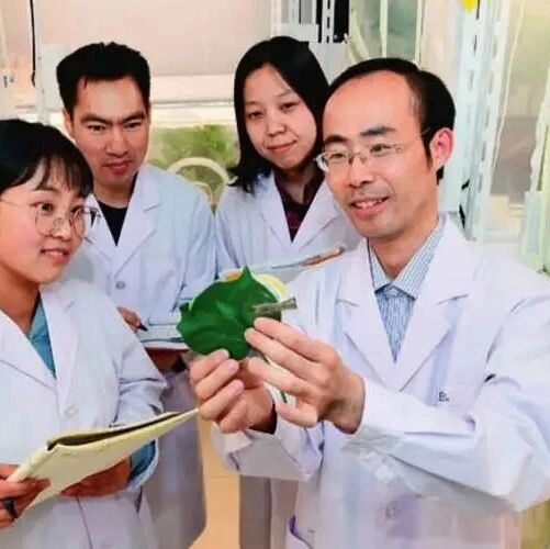 祝贺！沈阳农业大学院长（国家杰青），团队在《Cell》子刊再发研究论文