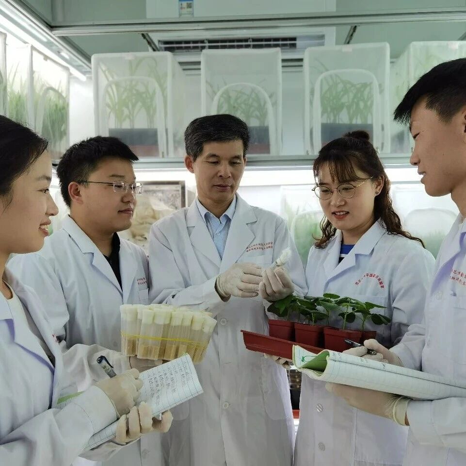 河南大学教授团队在顶级期刊（IF=15.6）发表最新研究成果