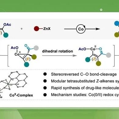 苏州大学李杰/武汉大学戚孝天/南开大学莫贞波JACS：立体反转C−O活化解锁全碳四取代Z-烯烃的合成