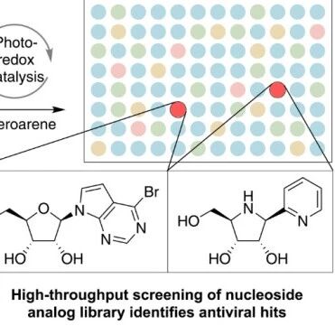 Science | 从“手工作坊”到“自动工厂”：新化学平台加速“积木式”抗病毒药物研发
