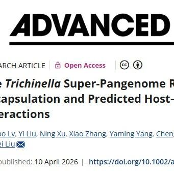 Adv Sci | 吉林大学全重团队利用旋毛虫属染色体水平泛基因组揭示幼虫包囊演化与宿主互作靶点