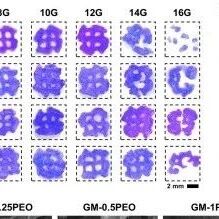 中科院上海硅酸盐研究所《Materials Horizons》：基于多孔GelMA的生物3D打印支架递送干细胞用于微创精准医疗