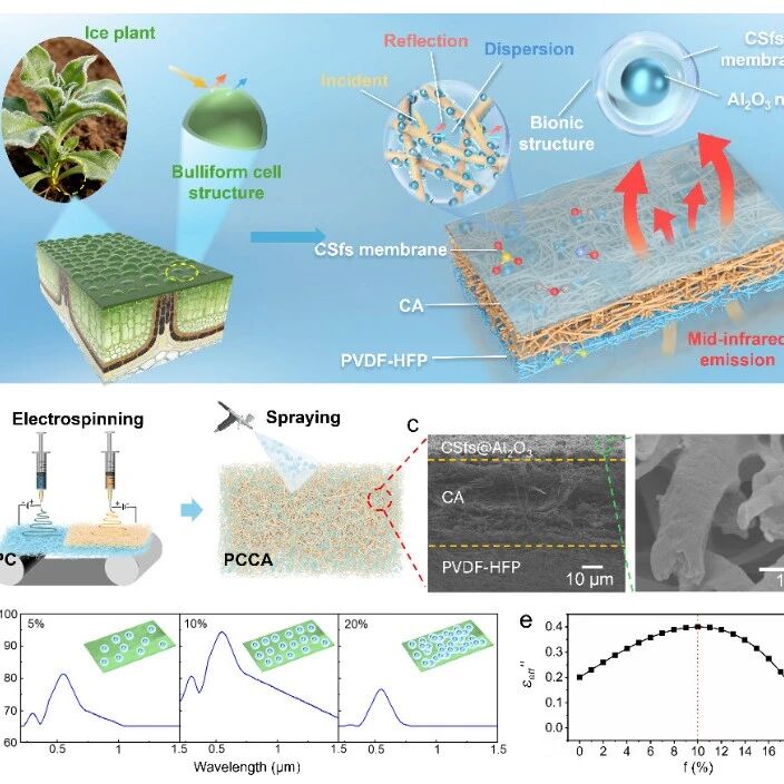 武汉纺织大学殷先泽教授团队《Adv. Mater.》：生物多糖流体基Janus纤维膜实现高效降温和柔性传感