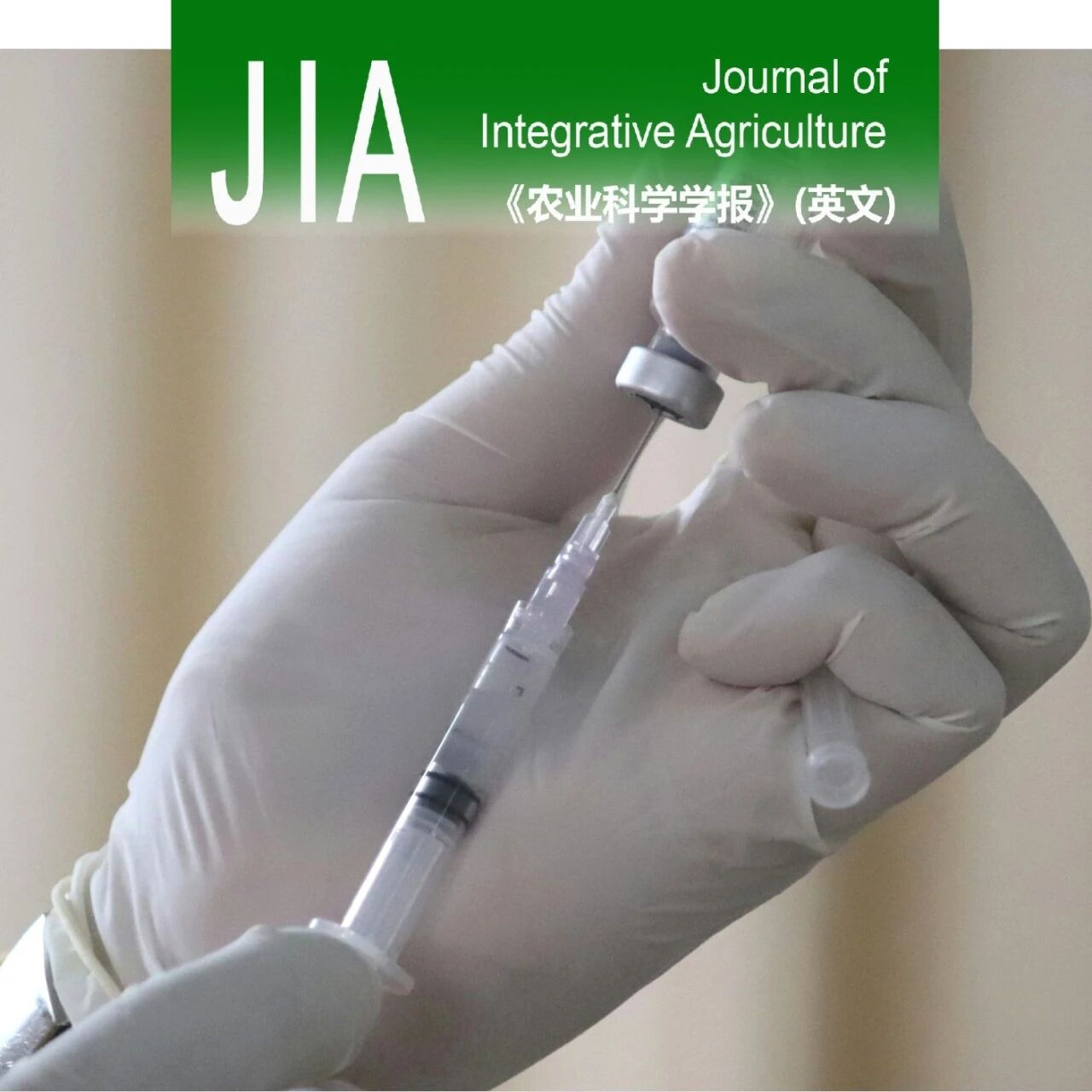 JIA | 吉林大学王化磊教授&李媛媛教授团队：病毒样颗粒-蜱传脑炎亚单位候选疫苗