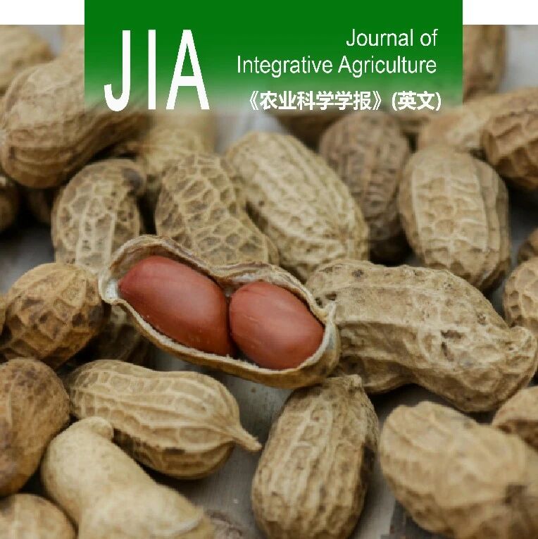 JIA优先上线 | 山东省农业科学院花生栽培与生理生态创新团队揭示优化带状间作行向提高黄淮海地区间作花生产量和品质