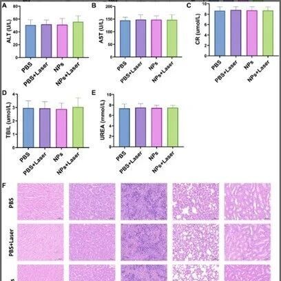 Adv Sci：为骨肿瘤定制的“纳米炉”：北京大学王世东等团队开发新型材料可在激光“点火”下瞬间升温至64℃，精准“烫死”癌细胞