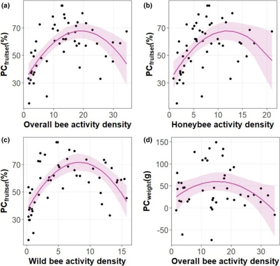 Journal of Applied Ecology| 刘云辉及其团队探讨了中国苹果授粉过程中蜜蜂对野生蜂的干扰