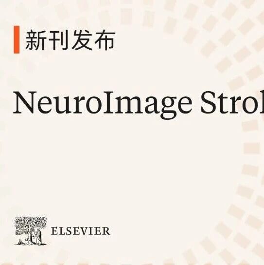 新刊发布 | APC 限免！NeuroImage Stroke 现已正式上线，欢迎赐稿！