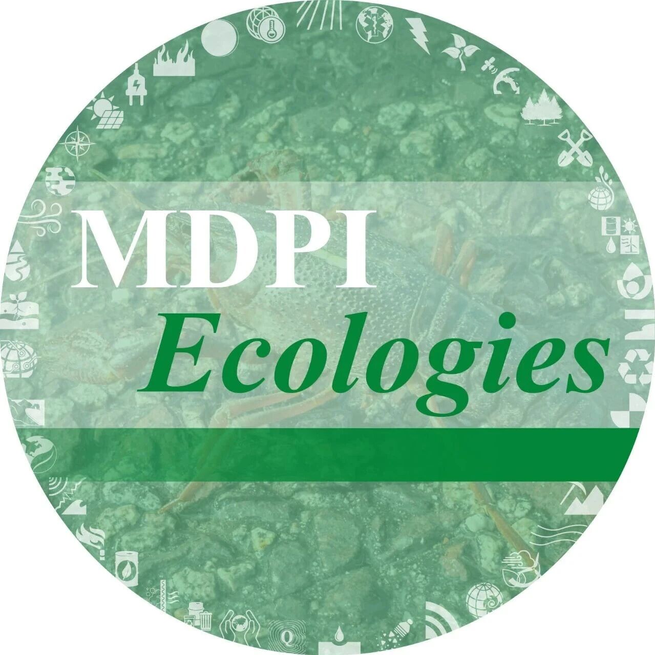 聚焦生态科学——Ecologies