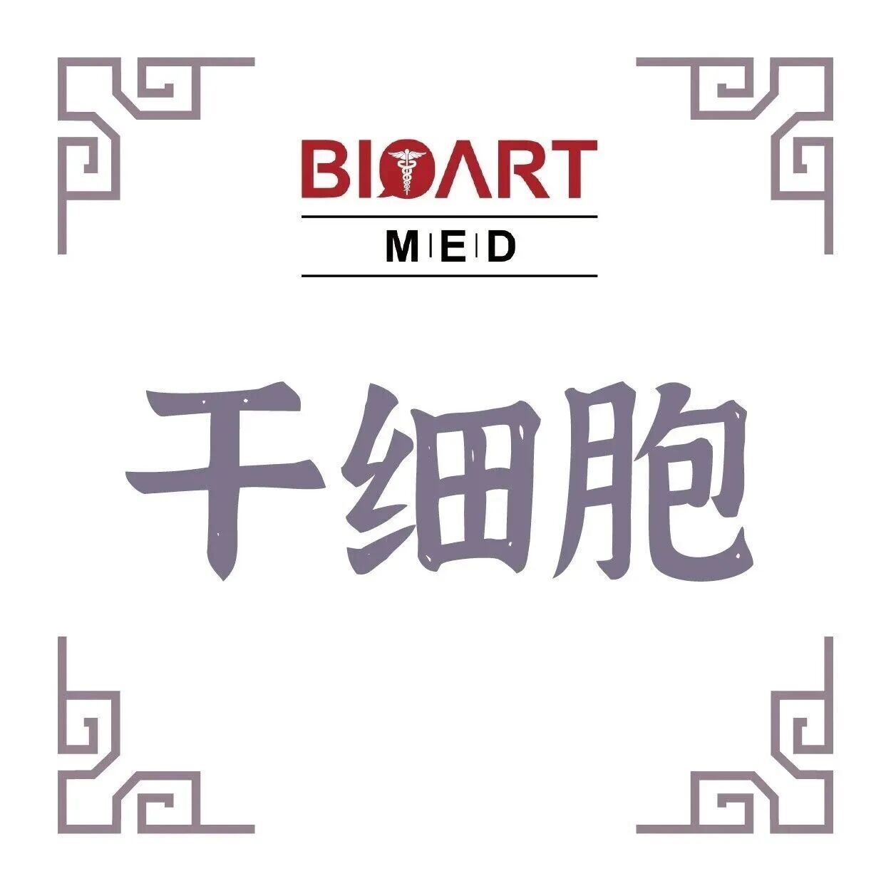 Adv Sci丨建立“双小分子协同 + 化学成分明确” 的 ANSCs 诱导体系