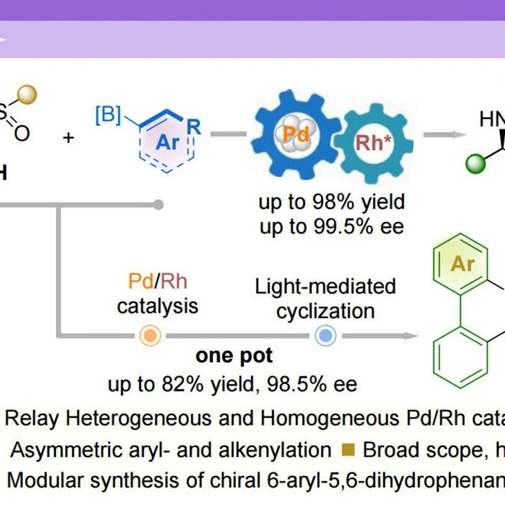【Sci. China Chem.】四川轻化工大学刘玉成：非均相和均相Pd/Rh接力催化实现N-磺酰胺不对称α-芳基/烯基化